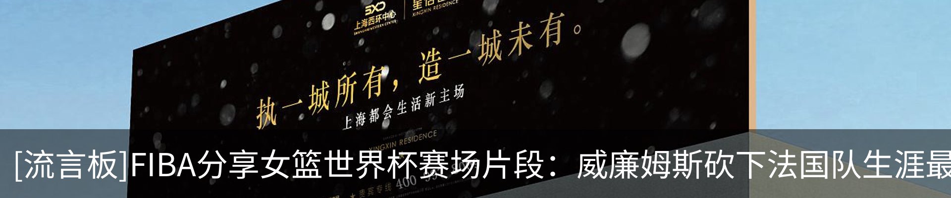 最新动态